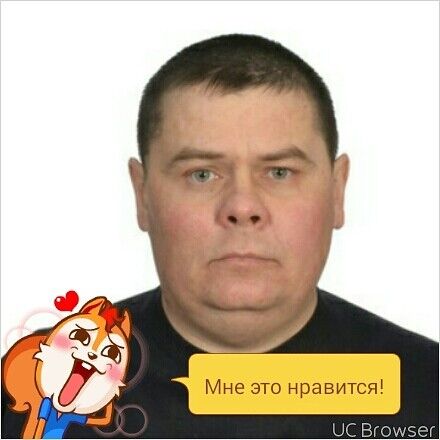 ���� 8061497 ������� �����, 44 ����, ���� ���������� � ��������������-����������