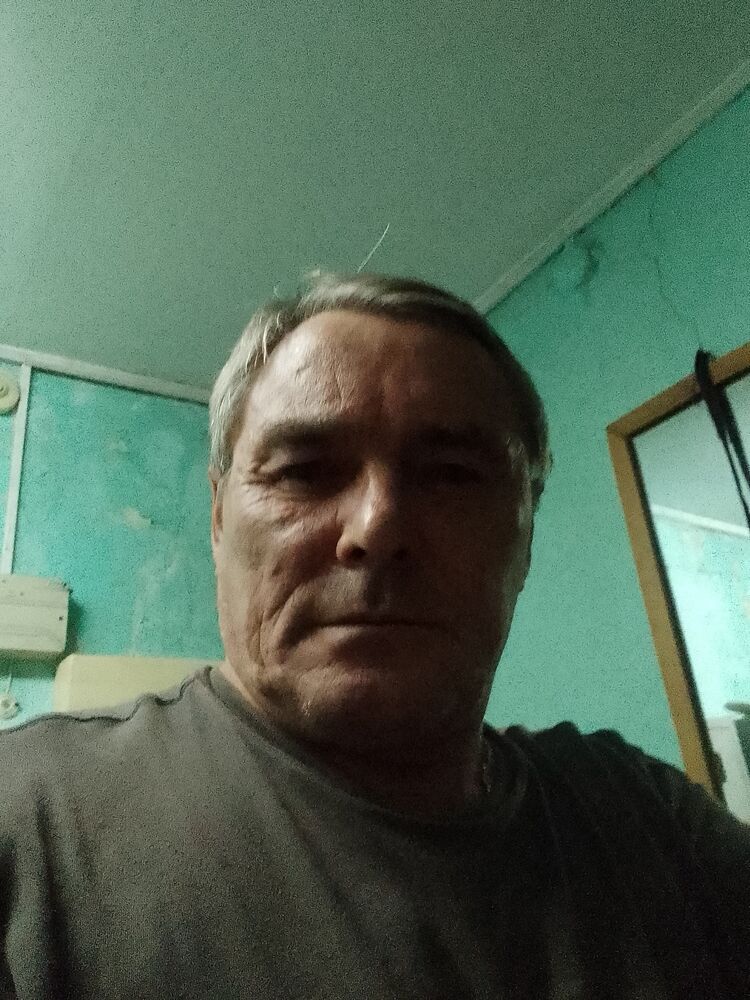  37596497  , 55 ,    