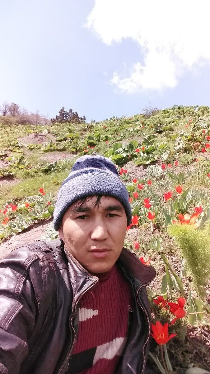 ���������� �������, ���� ������� Ermaxan, 32 ����, ������������ ��� ������, ����� � ���������, c�������� ���������