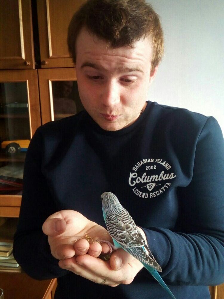 ���������� �����-���������, ���� ������� �����, 33 ����, ������������ ��� ������, ����� � ���������, c�������� ���������