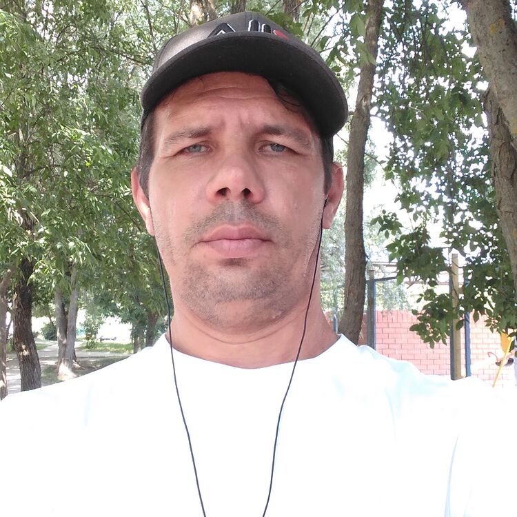  26159847  , 62 ,    