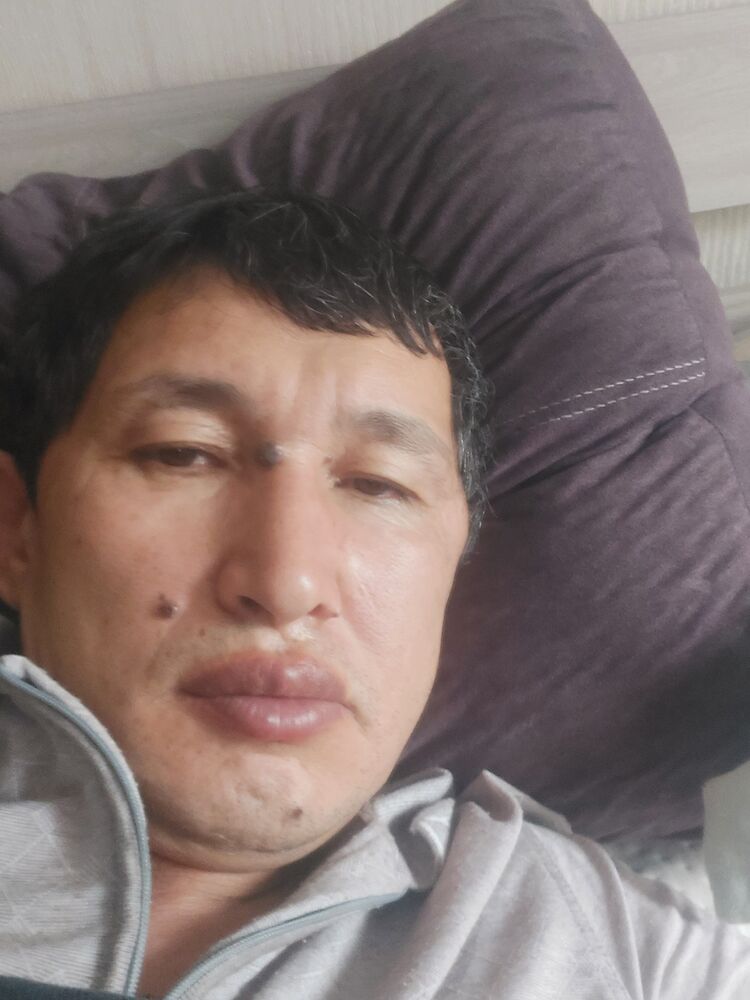  38157757  , 44 ,    