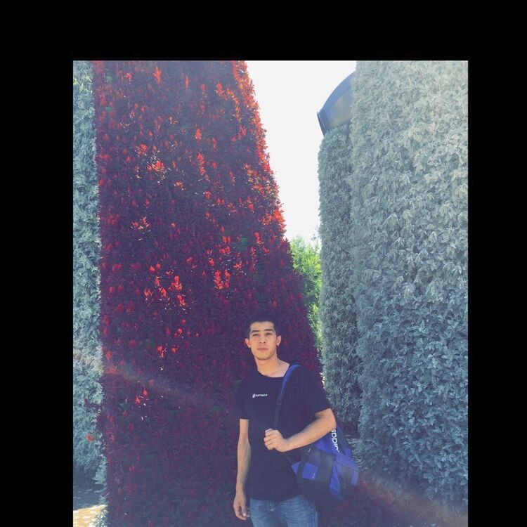 ���� 8708937 ������� �����, 32 ����, ���� ���������� � ������