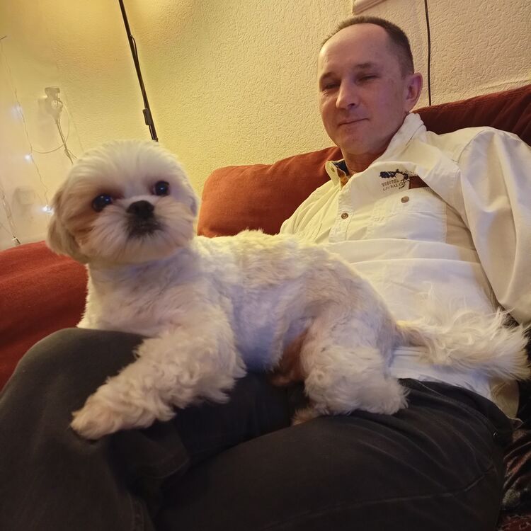 ���� 54142507 ������� �������, 50 ���, ���� ���������� � �������