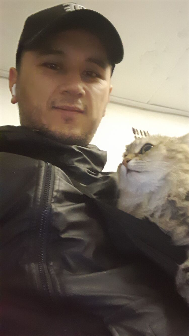 ���������� ����, ���� ������� �����, 29 ���, ������������ ��� ������, ����� � ���������