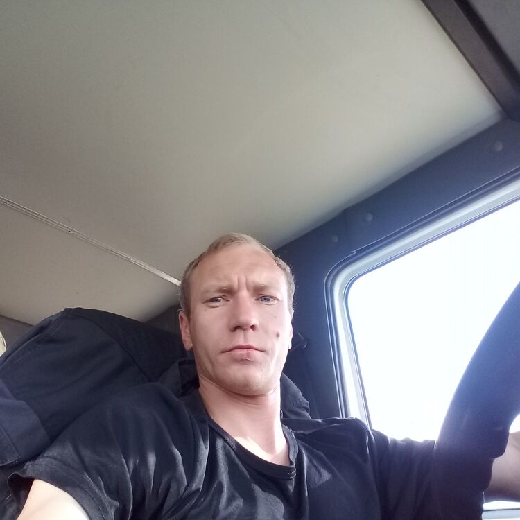 ���� 9955687 ������� ���������, 42 ����, ���� ���������� � ����������