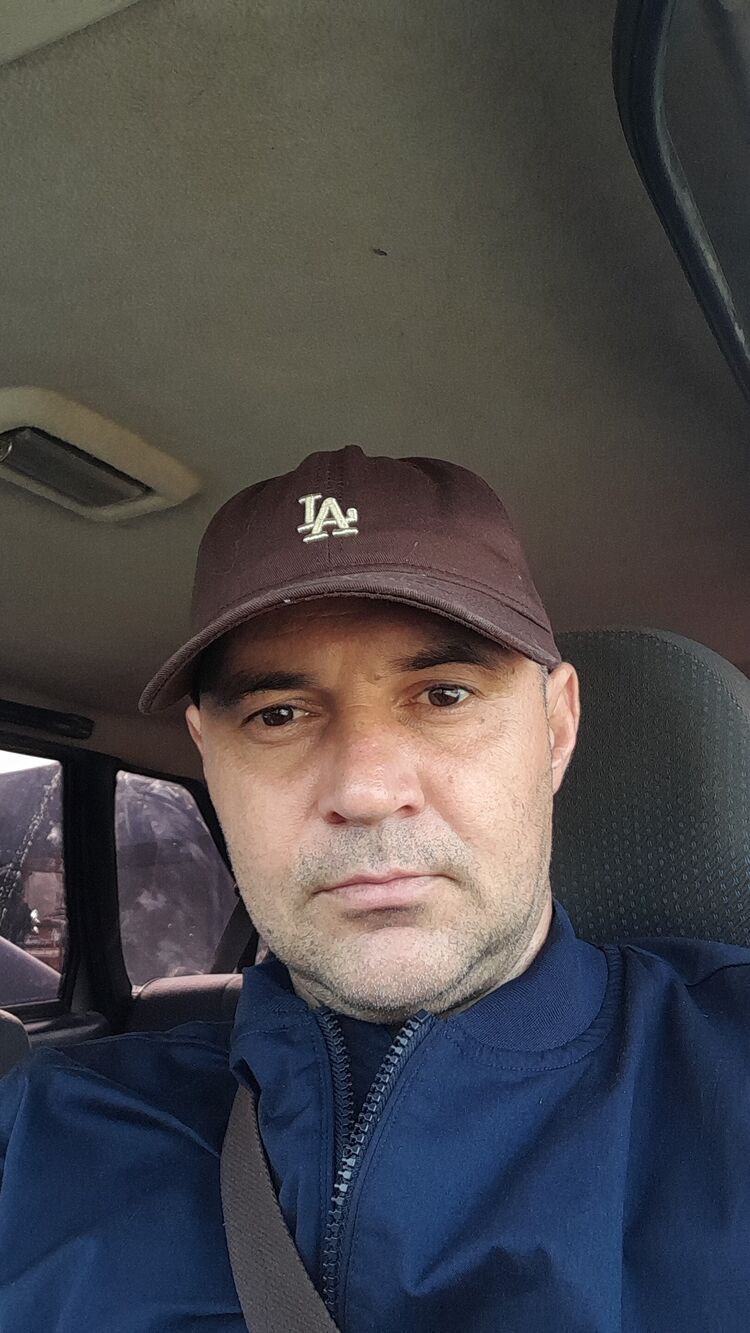 ���� 33962497 ������� �������, 43 ����, ���� ���������� � �����������