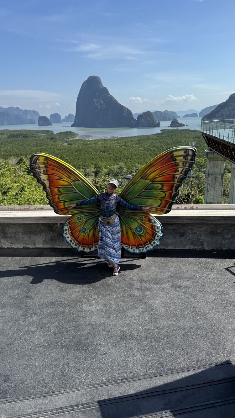 ���������� �������, ���� ������� ����������, 48 ���, ������������ ��� c�������� ���������