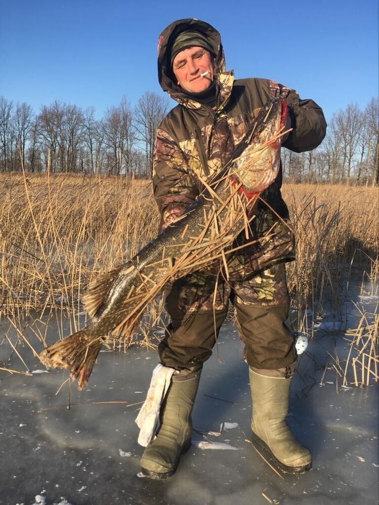 ���� 54360557 ������� ������, 54 ����, ���� ���������� � ������������