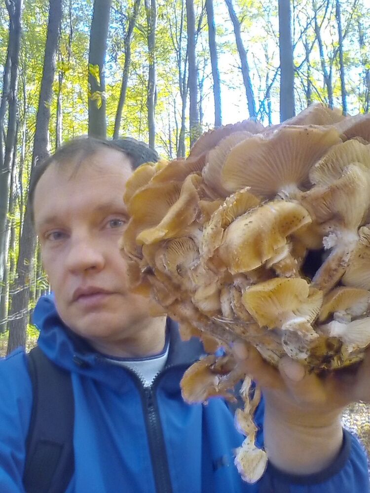 18077697  Aleksandr, 49 ,    