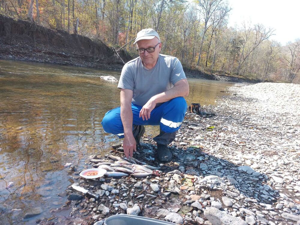 ���������� �������, ���� ������� ����, 56 ���, ������������ ��� ������, ����� � ���������