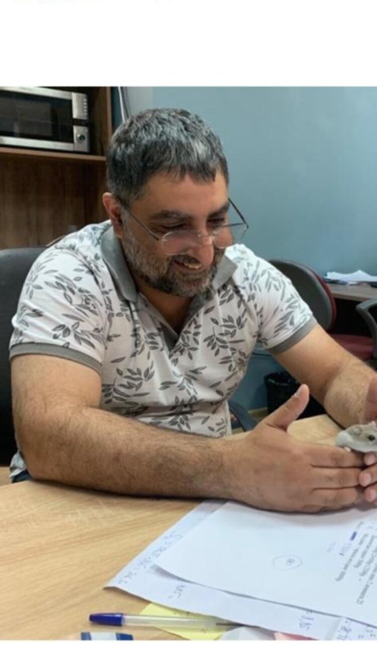 ���������� ������, ���� ������� MEKO, 47 ���, ������������ ��� ������, ����� � ���������, c�������� ���������