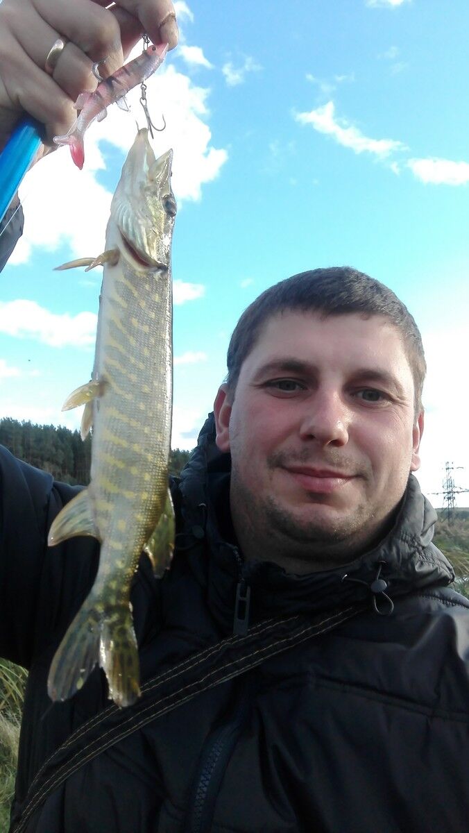  ,   , 38 ,  