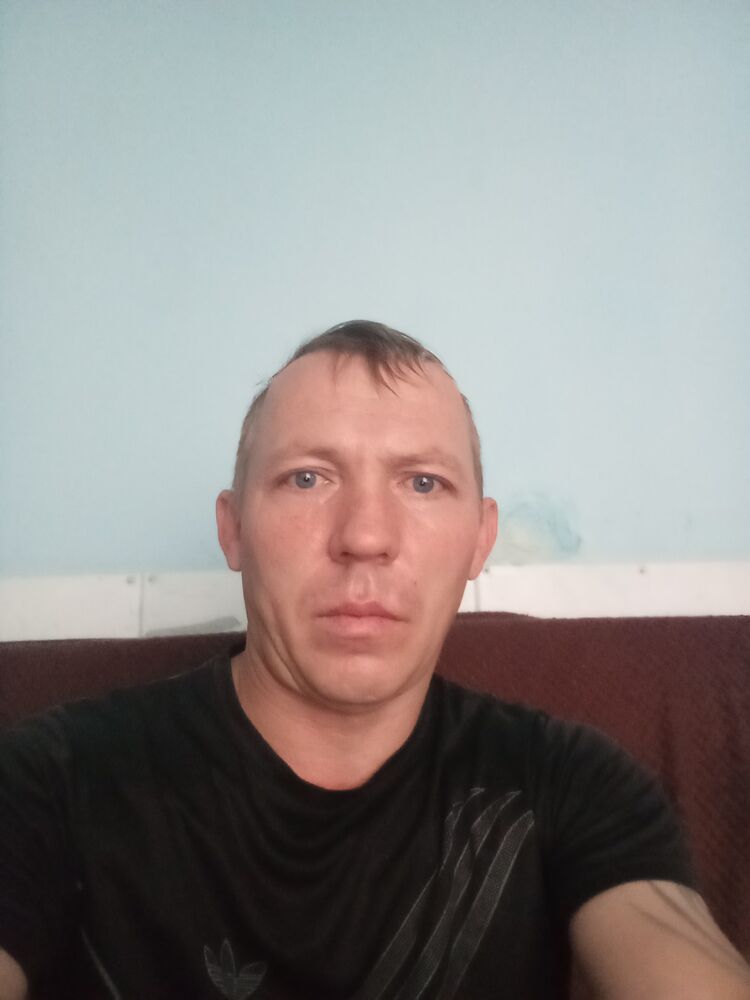  53305987  , 41 ,    -