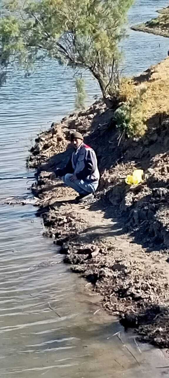 ���� 47271597 ������� ����, 48 ���, ���� ���������� � ������