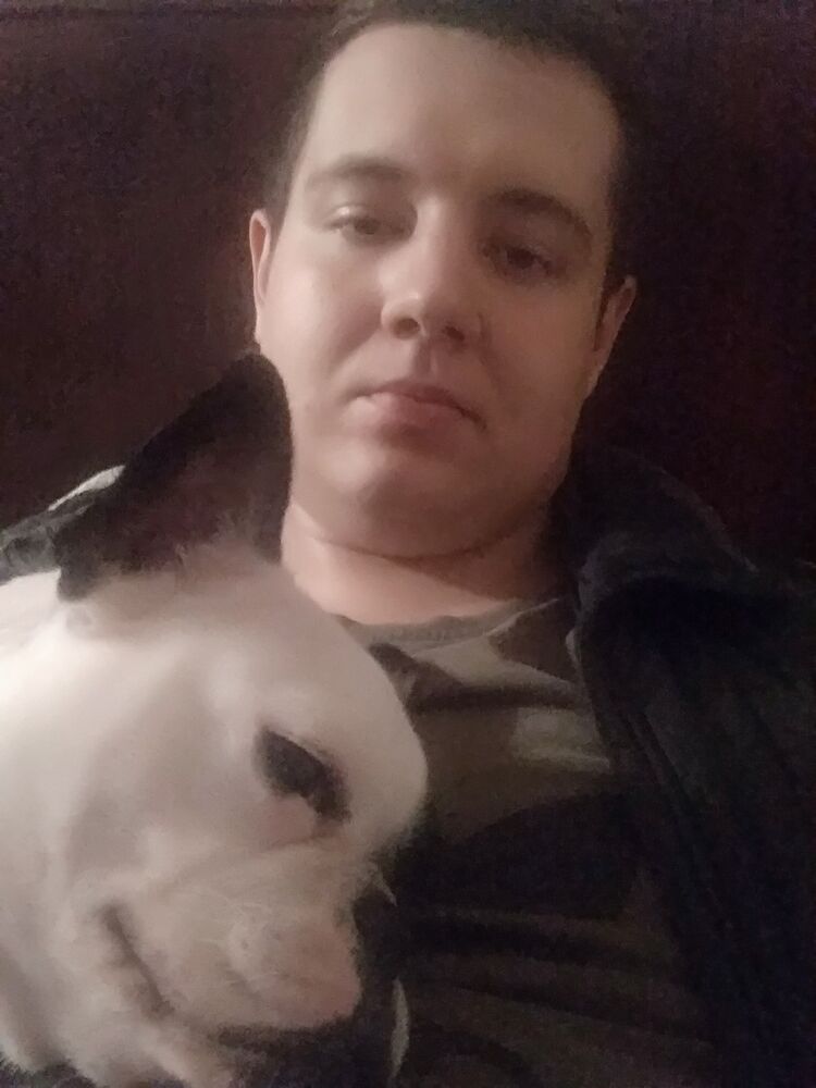 ���� 17787917 ������� �������, 30 ���, ���� ���������� � ���������