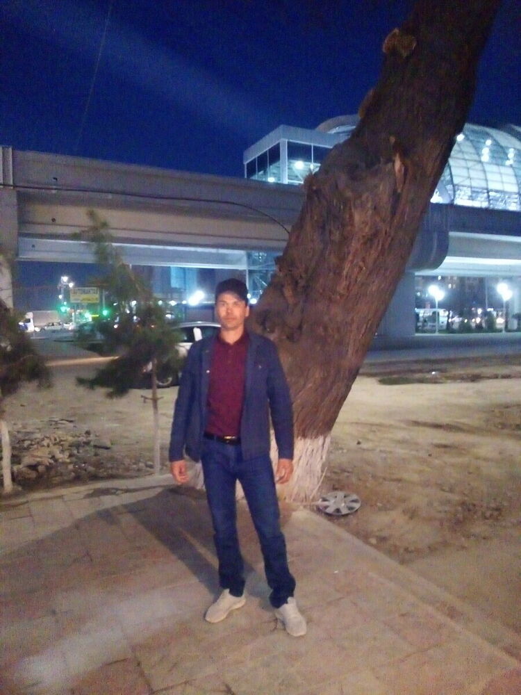  20411657  , 42 ,    