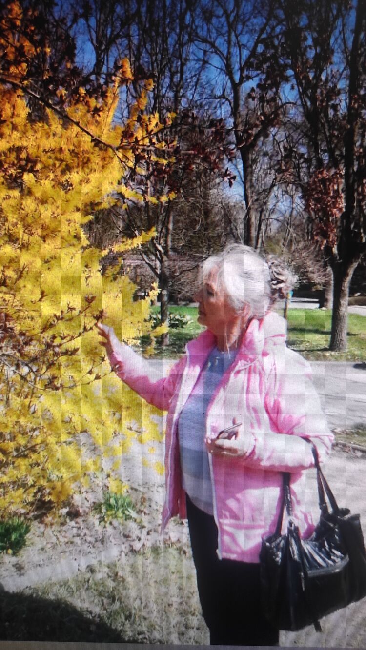 ���������� �������, ���� ������� ����, 69 ���, ������������ ��� c�������� ���������, ���������