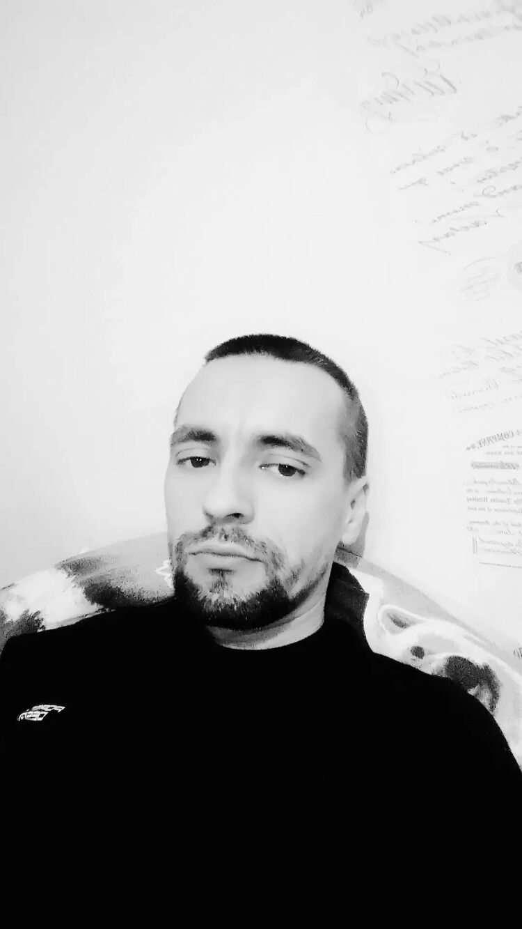  31318047  , 33 ,    -