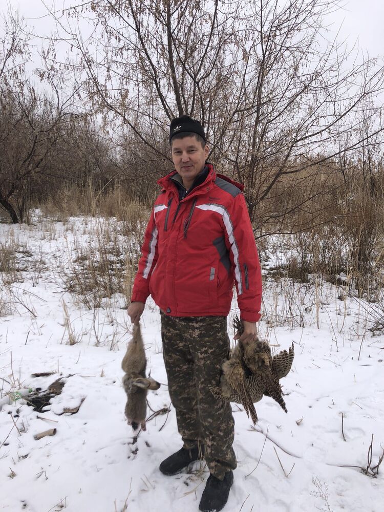 ���� 34303977 ������� ������, 36 ���, ���� ���������� � ������