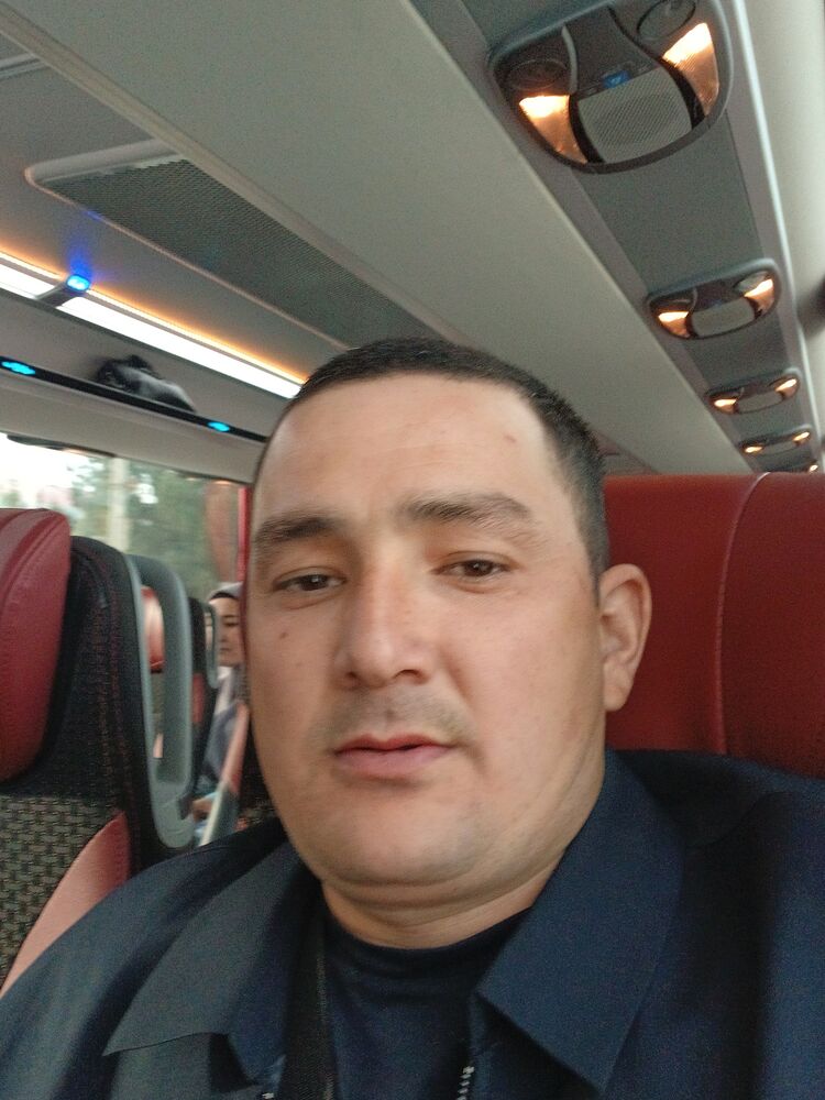 ���� 56366597 ������� �����, 33 ����, ���� ���������� � ������