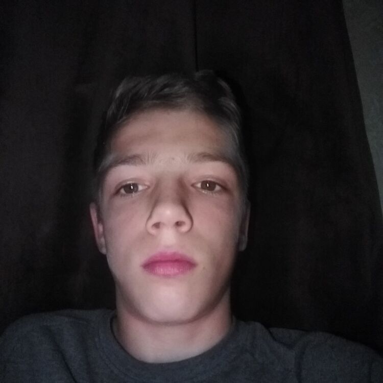  17954327  , 23 ,    