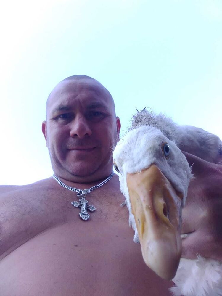 ���������� �����-���������, ���� ������� ������, 45 ���, ������������ ��� c�������� ���������