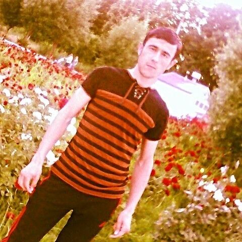 ,   992938004044, 31 ,   