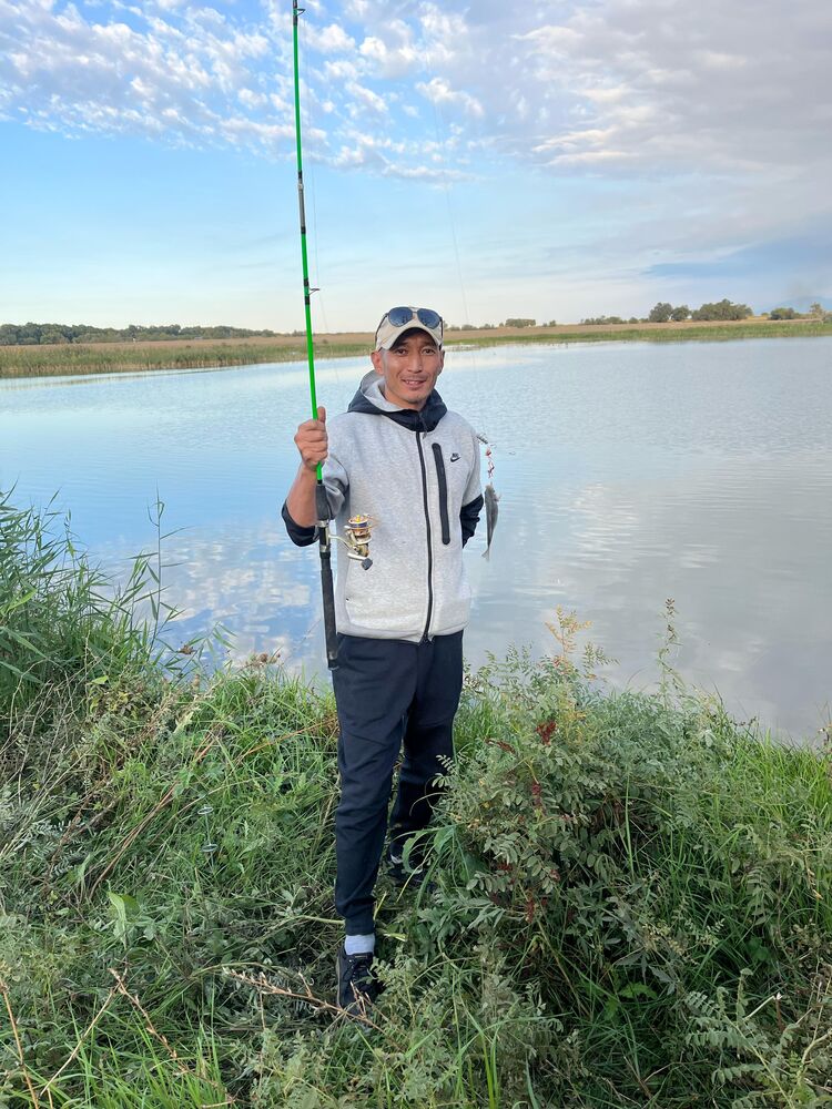 ���� 38311197 ������� ��������, 44 ����, ���� ���������� � ������