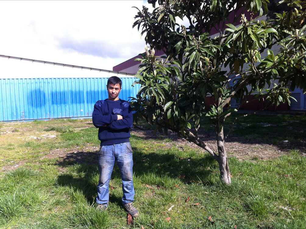 ,   Alam, 37 ,  