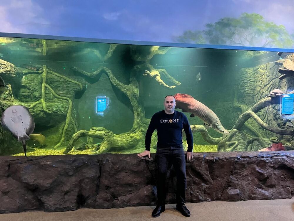 ���� 54959507 ������� ������, 36 ���, ���� ���������� � ������