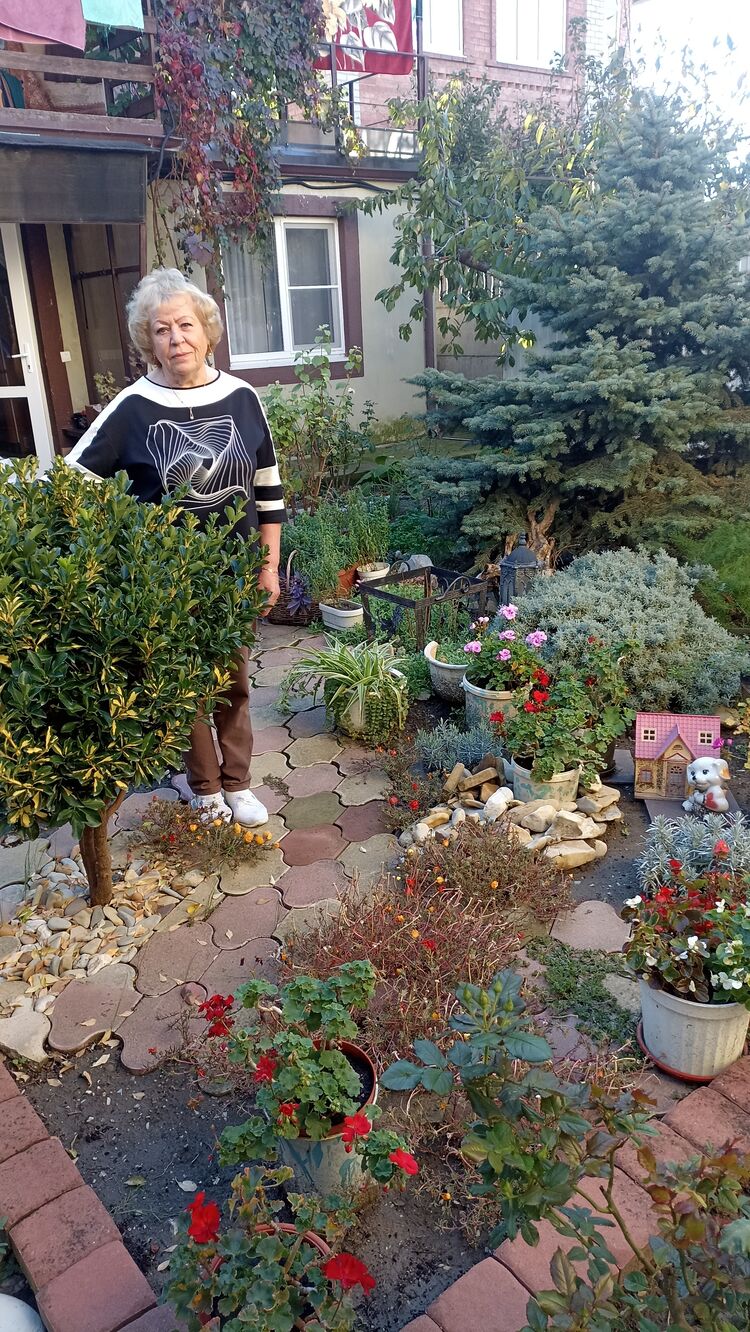 ���� 55156047 ������� ������, 72 ����, ���� ���������� � ��������������