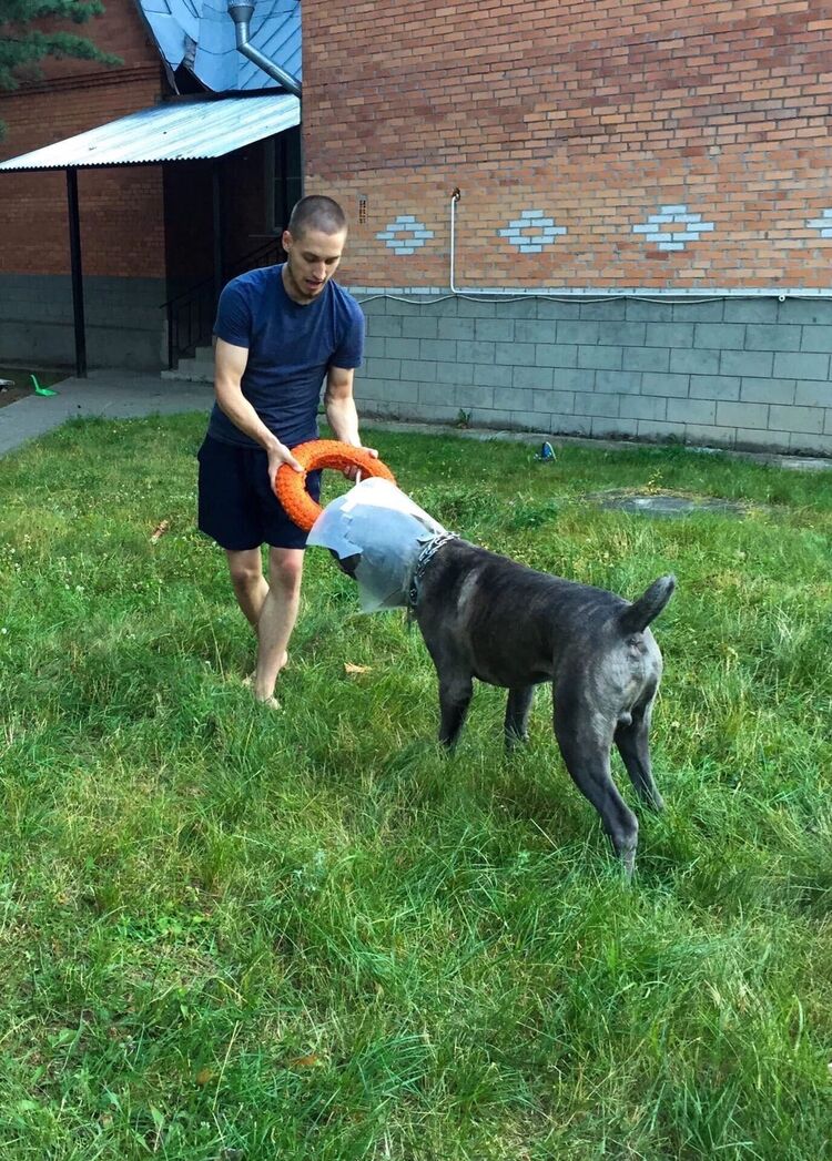 ���� 26722637 ������� ���������, 29 ���, ���� ���������� � ������