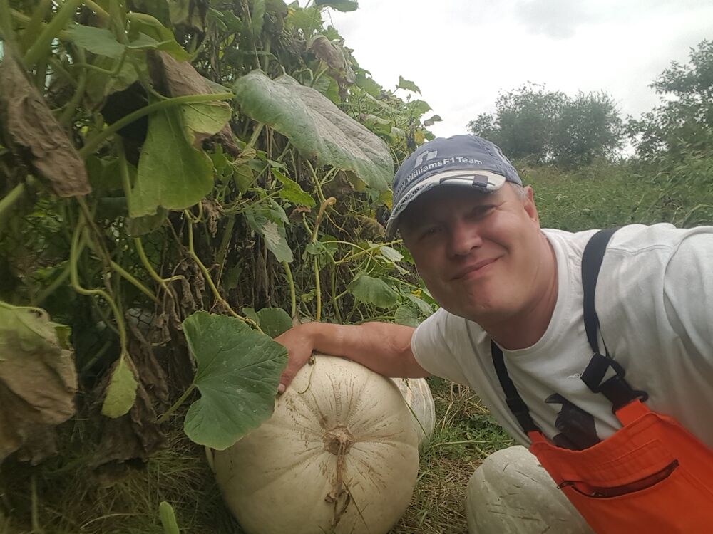 ���������� �������, ���� ������� ���������, 95 ���, ������������ ��� ����� � ���������, c�������� ���������, ���������