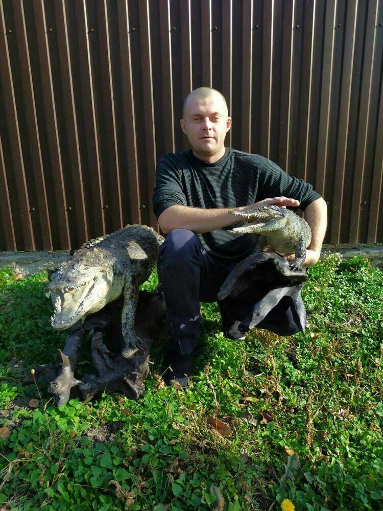 ���� 23168997 ������� ������, 34 ����, ���� ���������� � ����������