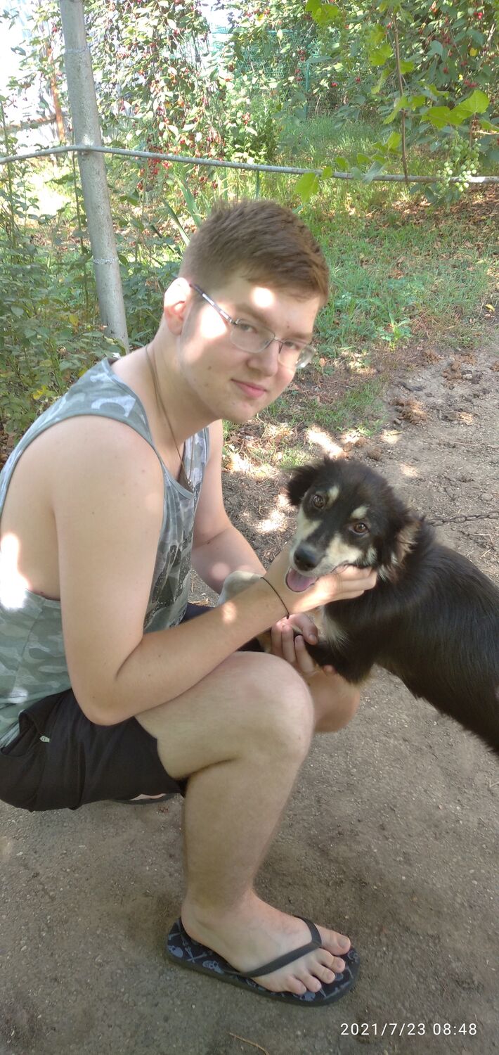 ���������� ������, ���� ����� ������, 21 ���, ������������ ��� ������, ����� � ���������, c�������� ���������