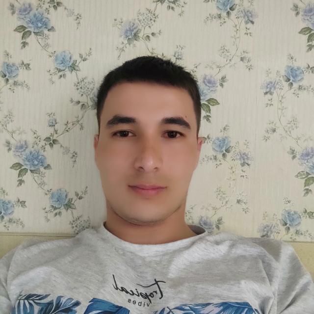  31563357  , 28 ,    