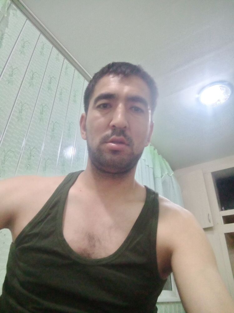  50487237  , 38 ,    