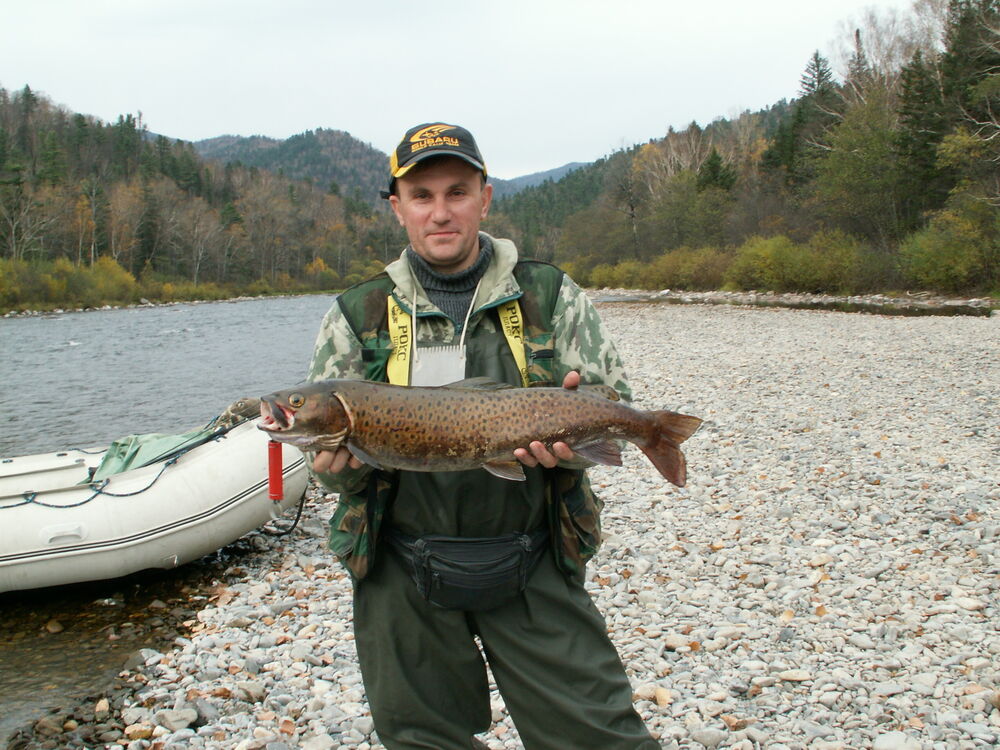 ���� 25591677 ������� ������, 50 ���, ���� ���������� � ������������