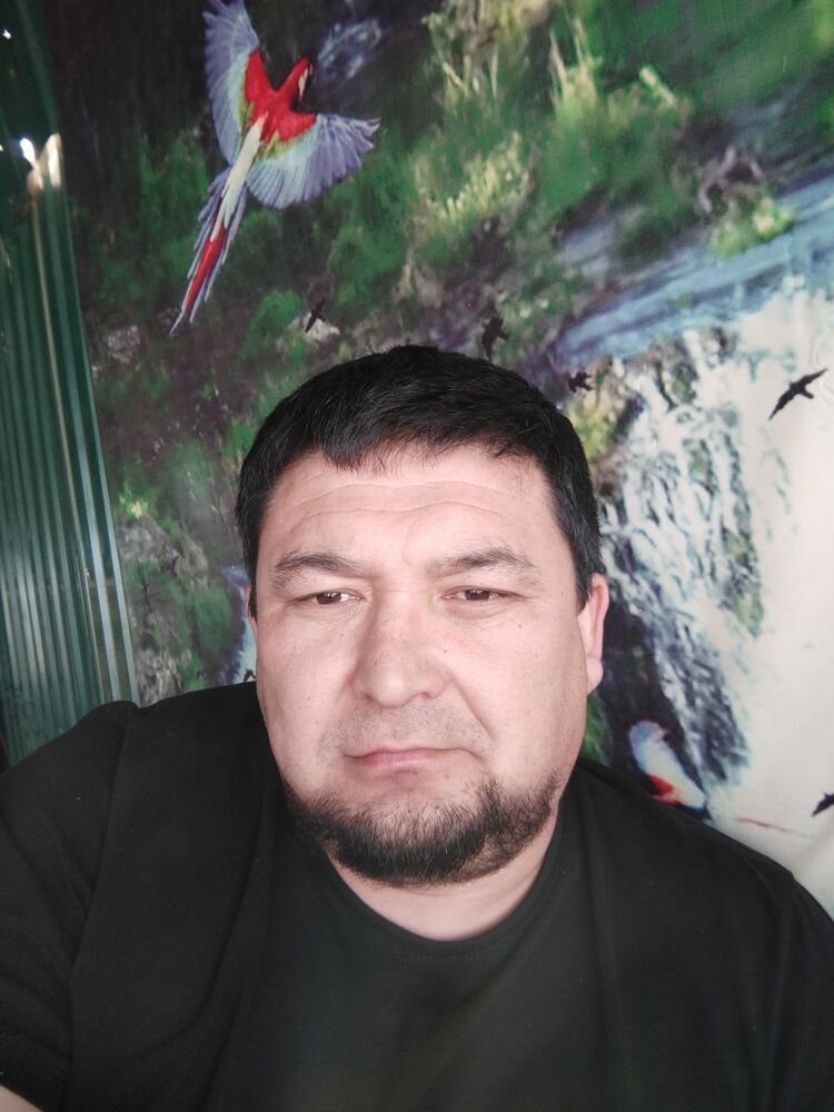  54067187  Nyrlan, 43 ,    