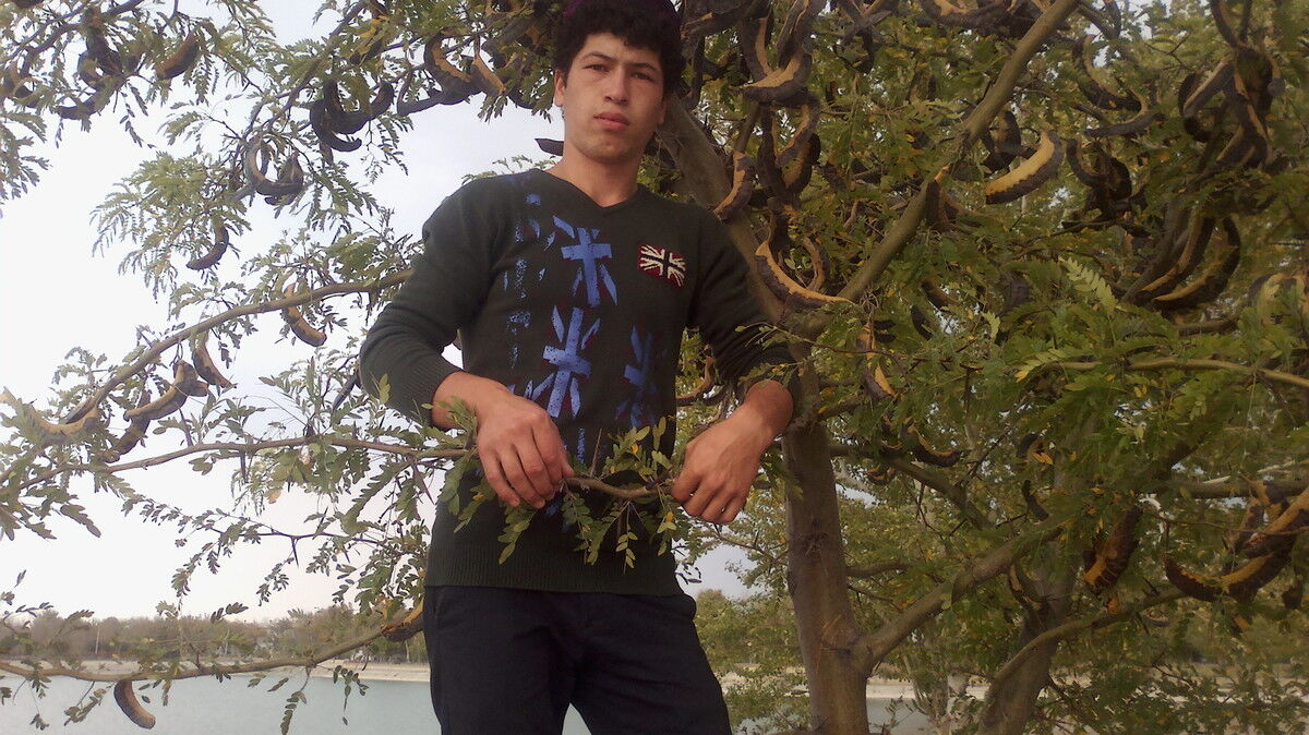 ���� 5125367 ������� Okil, 32 ����, ���� ���������� � �������