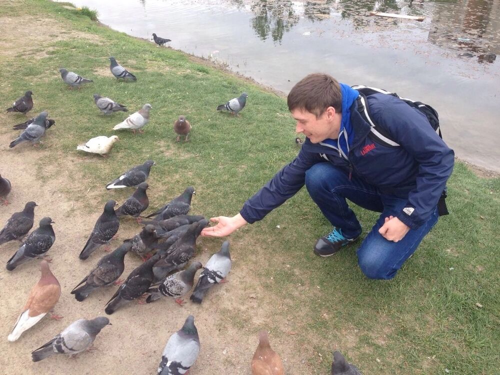 ���� 40383327 ������� ���������, 33 ����, ���� ���������� � ������������