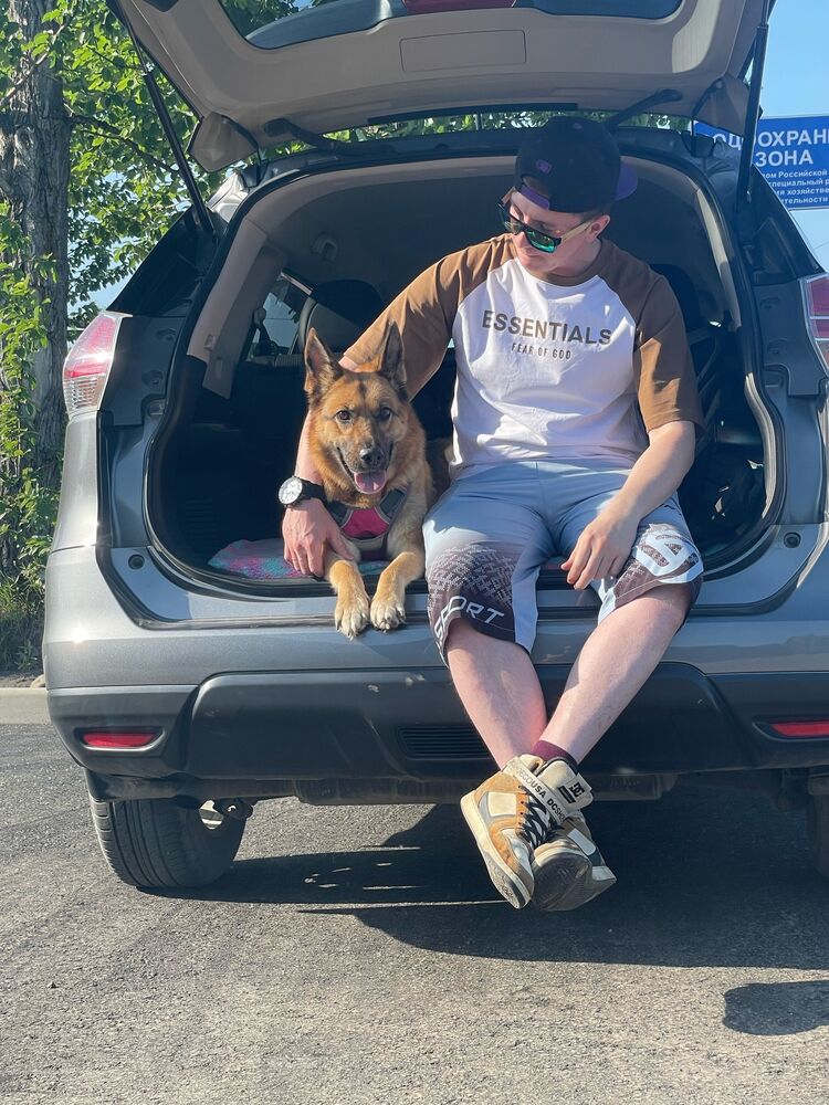 ���� 44088047 ������� �����, 31 ���, ���� ���������� � �����-����������