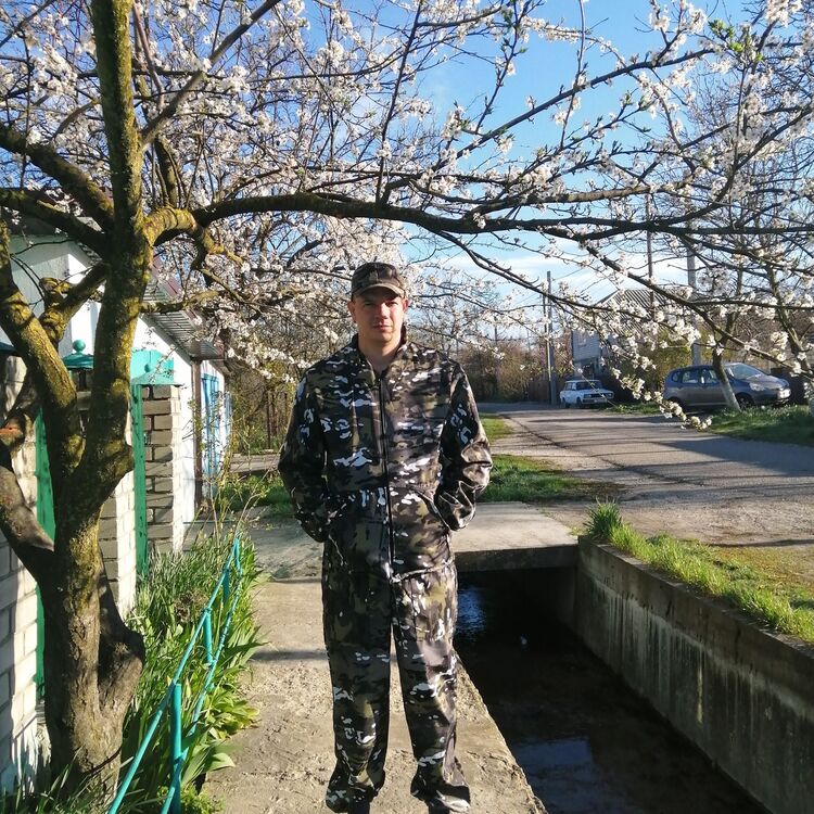 ���������� ������������, ���� ������� ˸��, 43 ����, ������������ ��� ������, ����� � ���������, c�������� ���������