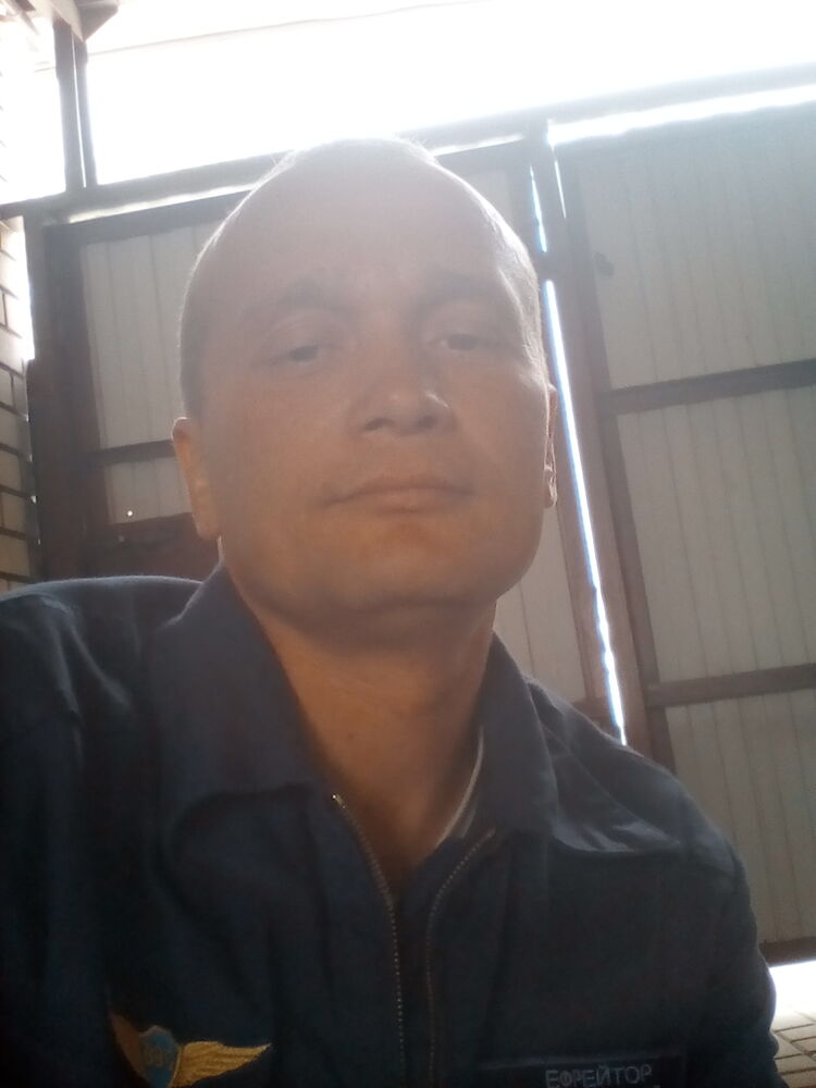  41558247  , 40 ,    
