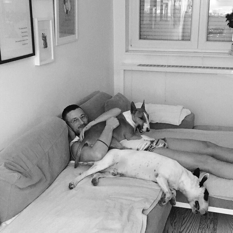 ���� 42719767 ������� ������, 40 ���, ���� ���������� � ������