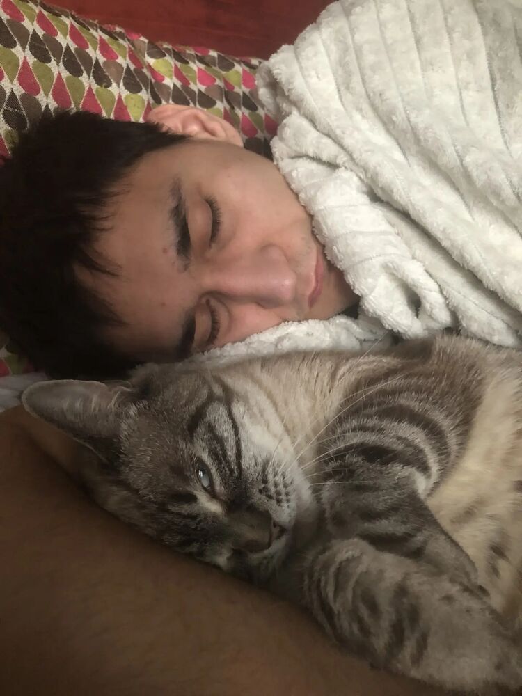 ���������� ������, ���� ������� �����, 26 ���, ������������ ��� ������, ����� � ���������