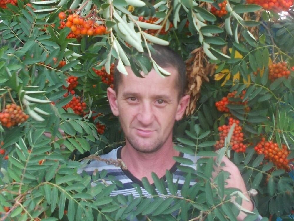  14306827  , 45 ,    