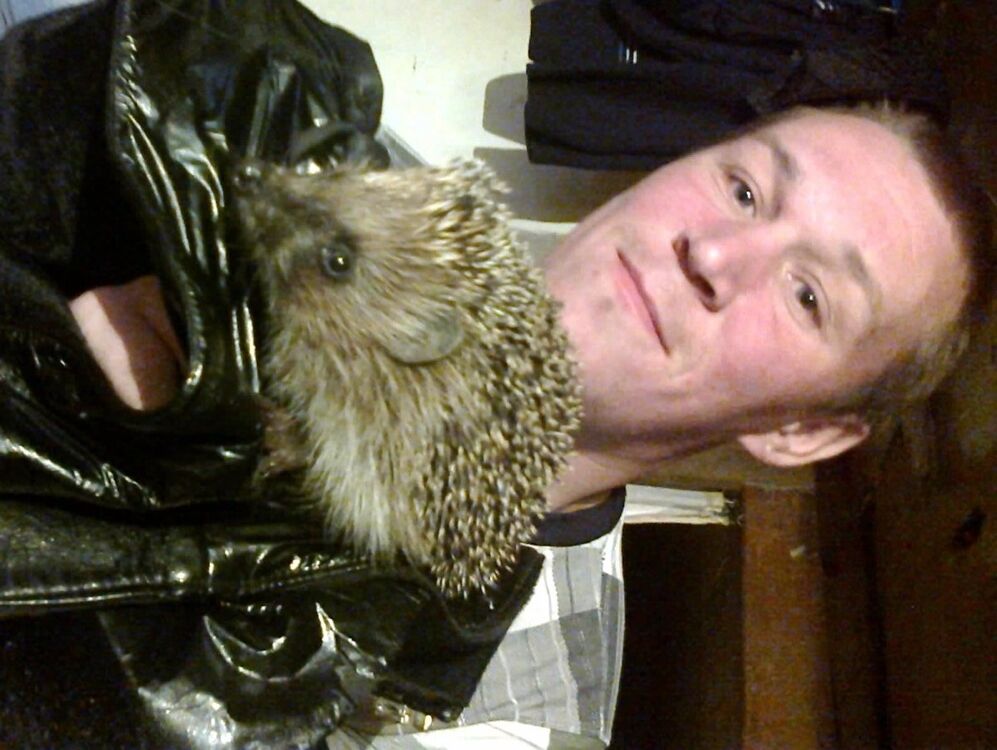 ���� 4539417 ������� ����, 40 ���, ���� ���������� � ������ ���������