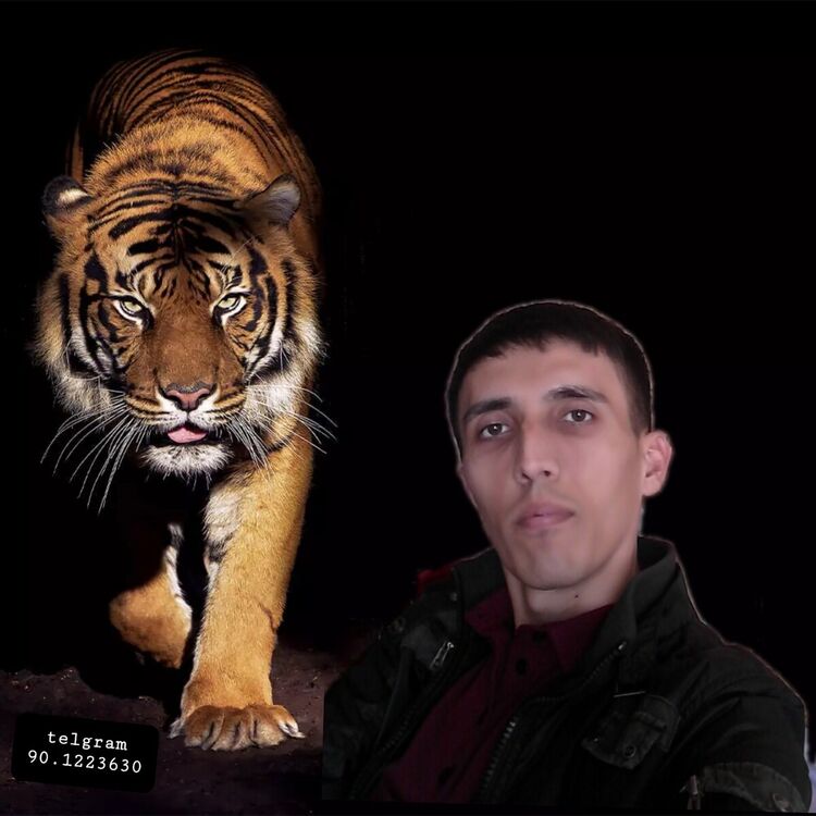 ���� 22306747 ������� Husanbe, 30 ���, ���� ���������� � ��������